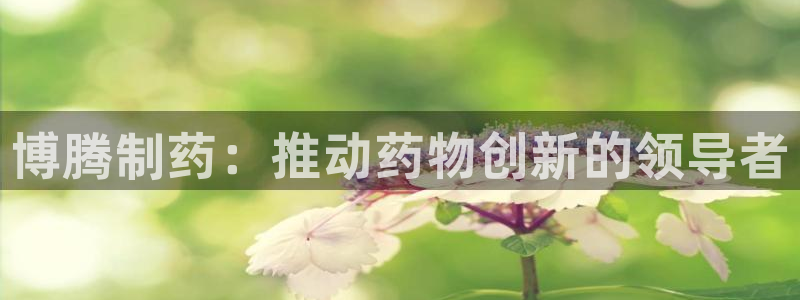 九游老哥俱乐部官网登录不了：博腾制药：推动药物创新的领导者