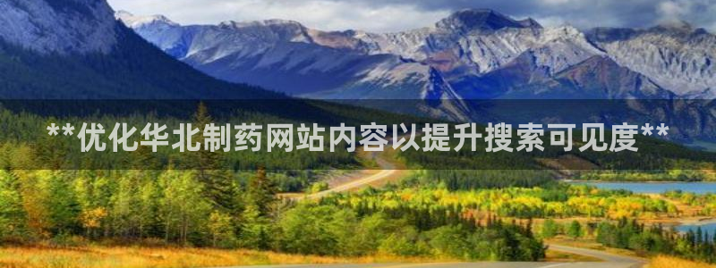 九游会老哥俱乐部官方网站：**优化华北制药网站内容以提升搜索可见度**