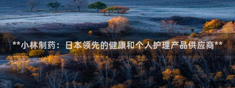ag九游老哥俱乐部：**小林制药：日本领先的健康和个人护理产品供应商**