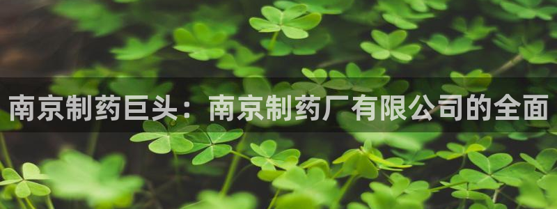 9游会老哥俱乐部：南京制药巨头：南京制药厂有限公司的全面