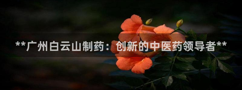 ag九游会老哥：**广州白云山制药：创新的中医药领导者**