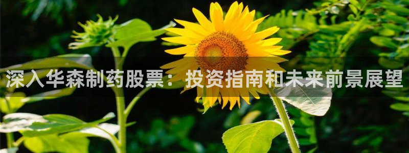 九游会老哥：深入华森制药股票：投资指南和未来前景展望