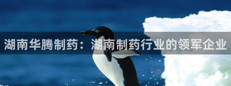 ag九游会老哥：湖南华腾制药：湖南制药行业的领军企业