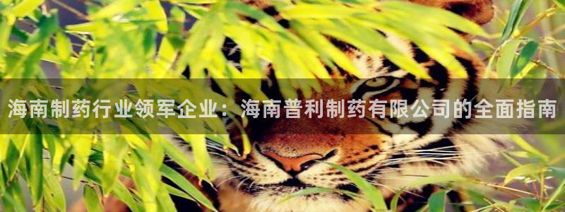 九游会老哥俱乐部官方网站：海南制药行业领军企业：海南普利制药有限公司的全面指南