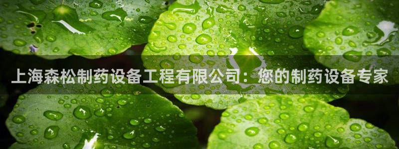 九游会老哥必备的交流社区：上海森松制药设备工程有限公司：您的制药设备专家