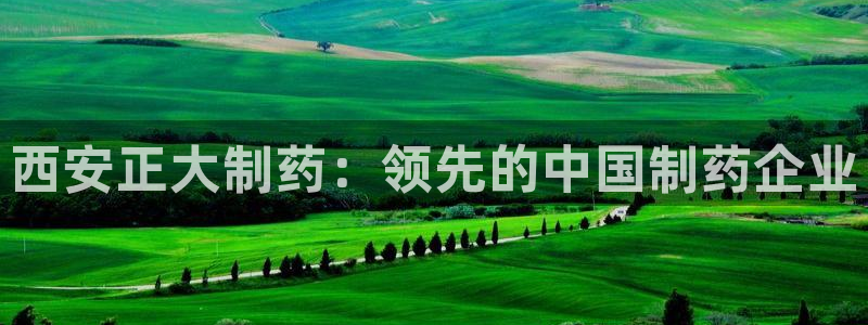 九游会老哥俱乐部必备的交流社区：西安正大制药：领先的中国制药企业