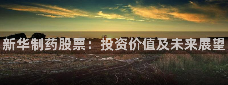 九游老哥俱乐部官网登录不了：新华制药股票：投资价值及未来展望