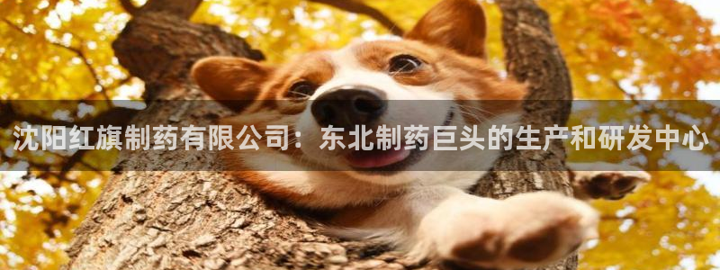 九游会老哥：沈阳红旗制药有限公司：东北制药巨头的生产和研发中心