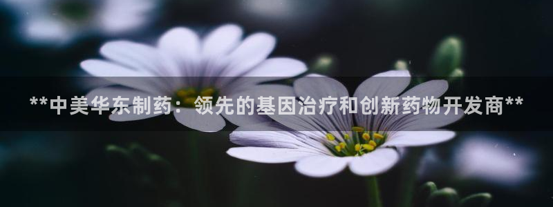 九游会老哥俱乐部必备的交流社区：**中美华东制药：领先的基因治疗和创新药物开发商**
