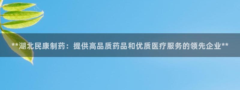 9游会老哥：**湖北民康制药：提供高品质药品和优质医疗服务的领先企业**