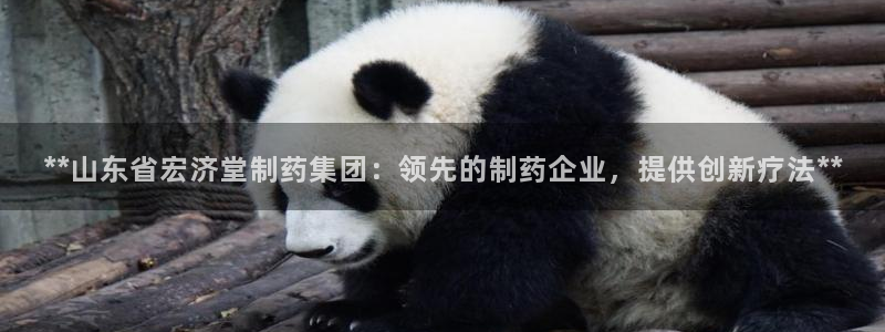 9游会老哥俱乐部：**山东省宏济堂制药集团：领先的制药企业，提供创新疗法**
