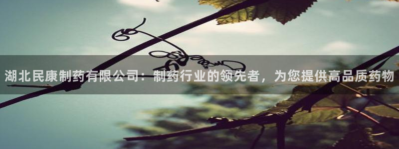 老哥吧九游会：湖北民康制药有限公司：制药行业的领先者，为您提供高品质药物