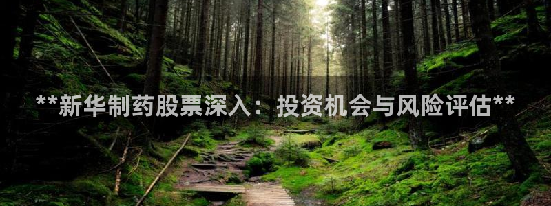 9游会老哥：**新华制药股票深入：投资机会与风险评估**
