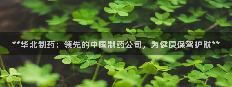 9游会老哥：**华北制药：领先的中国制药公司，为健康保驾护航**