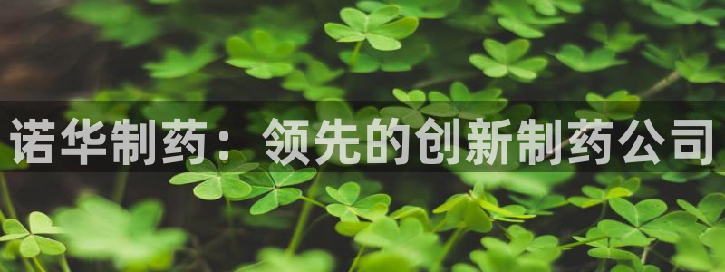 九游会老哥俱乐部