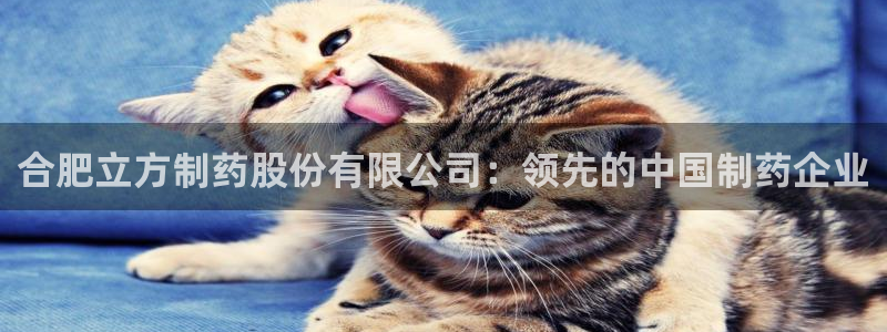 usdt九游会老哥俱乐部：合肥立方制药股份有限公司：领先的中国制药企业