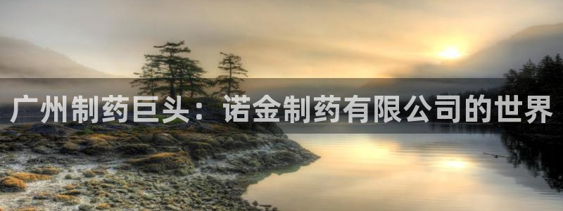 九游会老哥俱乐部论坛版：广州制药巨头：诺金制药有限公司的世界