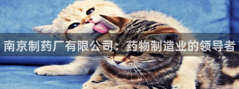 九游会老哥俱乐部必备的交流社区：南京制药厂有限公司：药物制造业的领导者