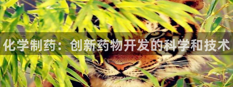 ag九游会老哥：化学制药：创新药物开发的科学和技术
