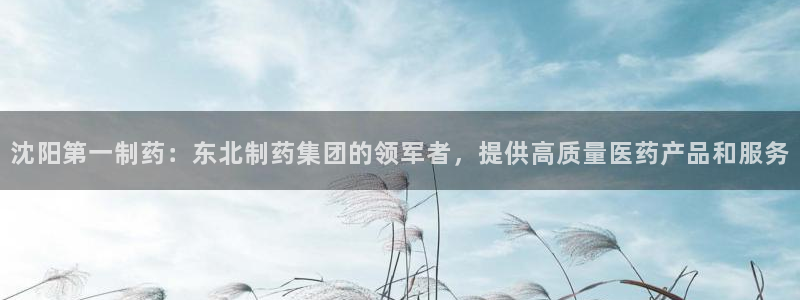 九游老哥俱乐部官网登录：沈阳第一制药：东北制药集团的领军者，提供高质量医药产品和服务
