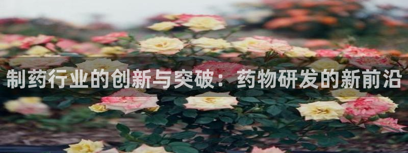 老哥俱乐部是干什么的：制药行业的创新与突破：药物研发的新前沿