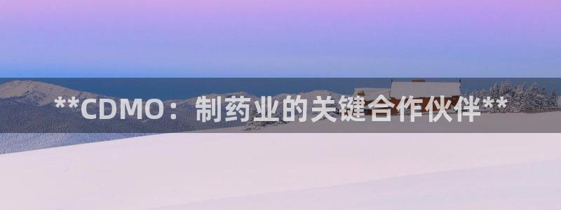 九游会老哥俱乐部官网首页论坛：**CDMO：制药业的关键合作伙伴**