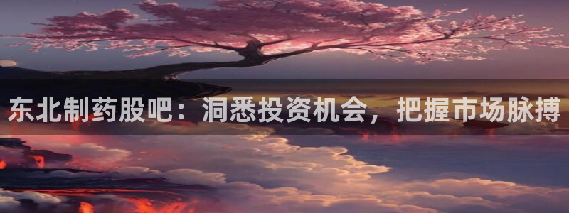 9游会老哥：东北制药股吧：洞悉投资机会，把握市场脉搏