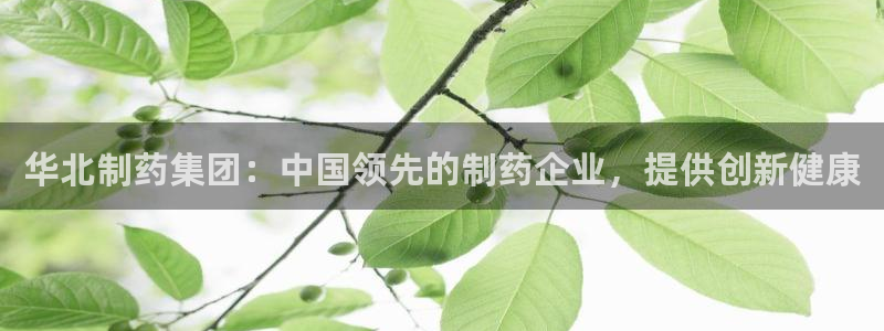 九游会老哥俱乐部论坛版：华北制药集团：中国领先的制药企业，提供创新健康