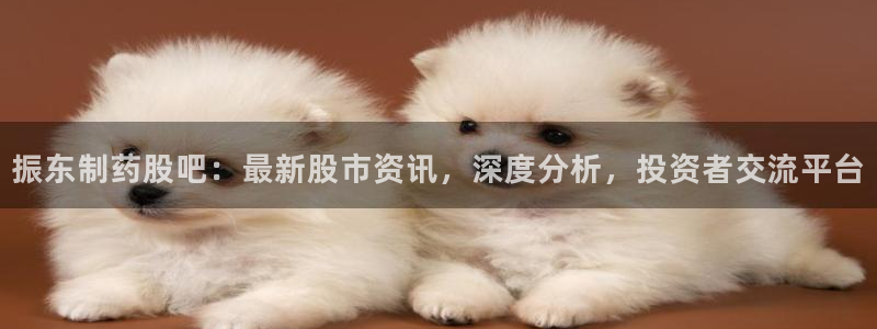 usdt九游会老哥俱乐部：振东制药股吧：最新股市资讯，深度分析，投资者交流平台