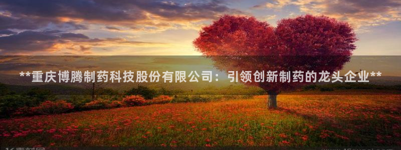 ag九游会老哥：**重庆博腾制药科技股份有限公司：引领创新制药的龙头企业**