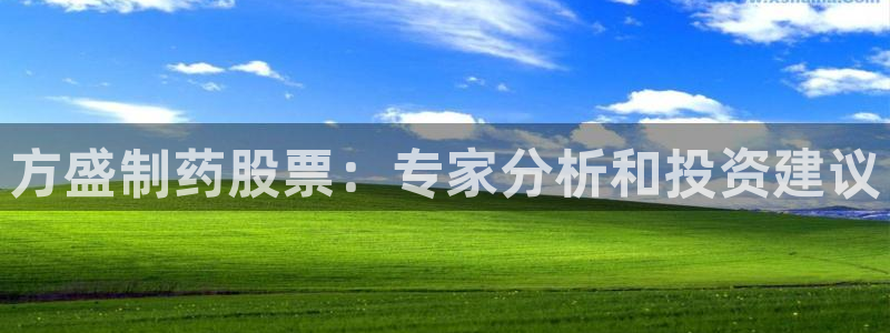 九游会老哥必备的交流社区九：方盛制药股票：专家分析和投资建议