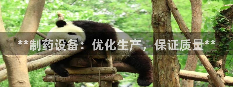 九游会老哥俱乐部：**制药设备：优化生产，保证质量**