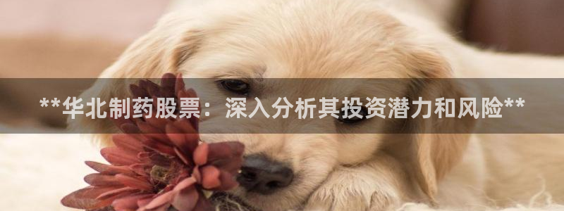 九游会老哥必备的交流社区：**华北制药股票：深入分析其投资潜力和风险**