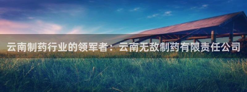 ag九游老哥俱乐部：云南制药行业的领军者：云南无敌制药有限责任公司