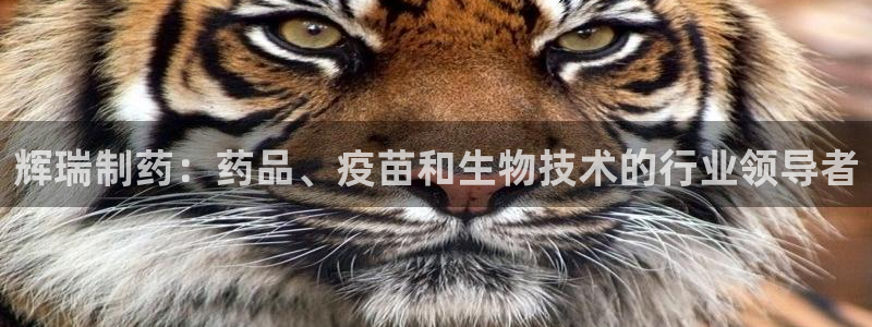九游老哥俱乐部官网登录不了：辉瑞制药：药品、疫苗和生物技术的行业领导者