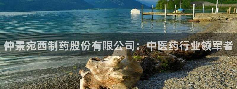 老哥吧九游会：仲景宛西制药股份有限公司：中医药行业领军者