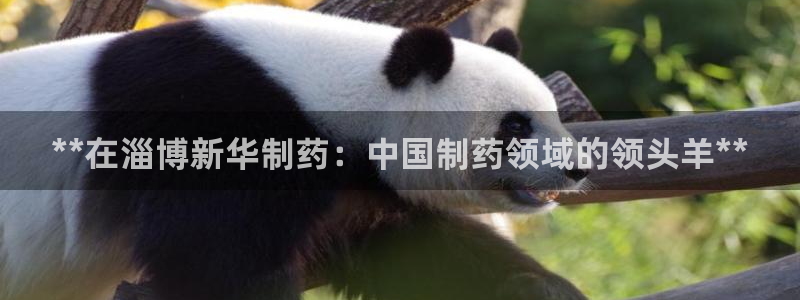 老哥吧九游会下架吗：**在淄博新华制药：中国制药领域的领头羊**