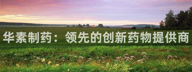 老哥吧九游会：华素制药：领先的创新药物提供商