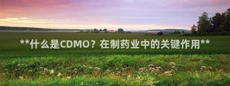 老哥俱乐部是干什么的啊：**什么是CDMO？在制药业中的关键作用**