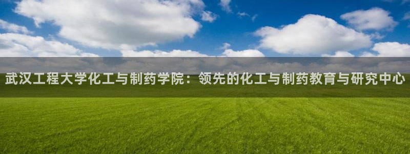 九游会老哥俱乐部论坛版：武汉工程大学化工与制药学院：领先的化工与制药教育与研究中心