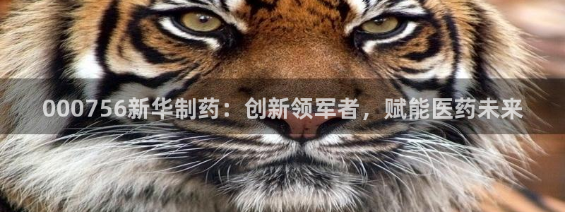 老哥俱乐部是干什么的：000756新华制药：创新领军者，赋能医药未来
