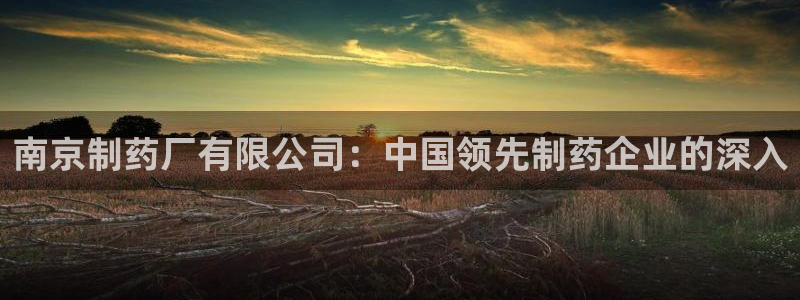 九游会老哥俱乐部官网首页：南京制药厂有限公司：中国领先制药企业的深入