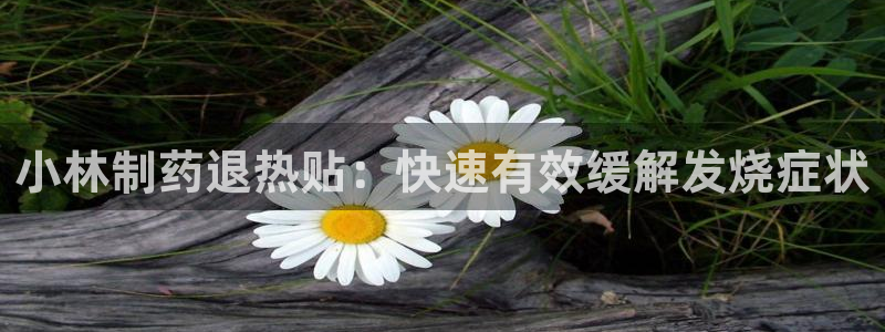 九游会老哥俱乐部：小林制药退热贴：快速有效缓解发烧症状