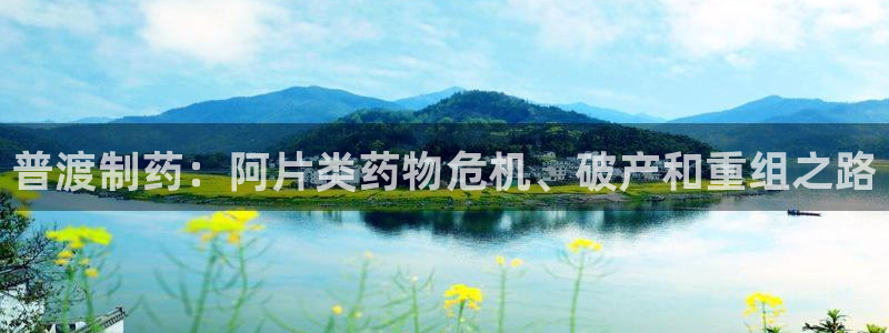 九游会老哥俱乐部：普渡制药：阿片类药物危机、破产和重组之路