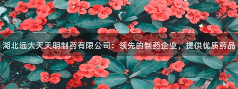 9游会老哥俱乐部：湖北远大天天明制药有限公司：领先的制药企业，提供优质药品