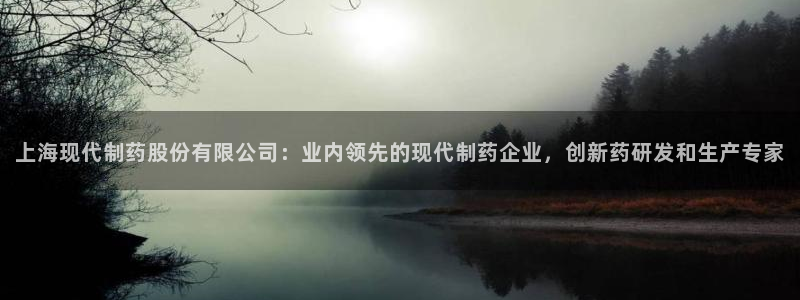 九游会老哥俱乐部官网首页论坛：上海现代制药股份有限公司：业内领先的现代制药企业，创新药研发和生产专家