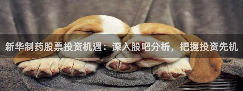 九游会老哥俱乐部社区论坛：新华制药股票投资机遇：深入股吧分析，把握投资先机