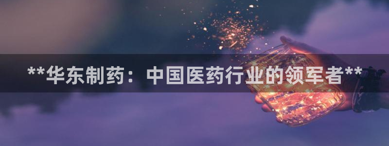 老哥俱乐部是干什么的：**华东制药：中国医药行业的领军者**
