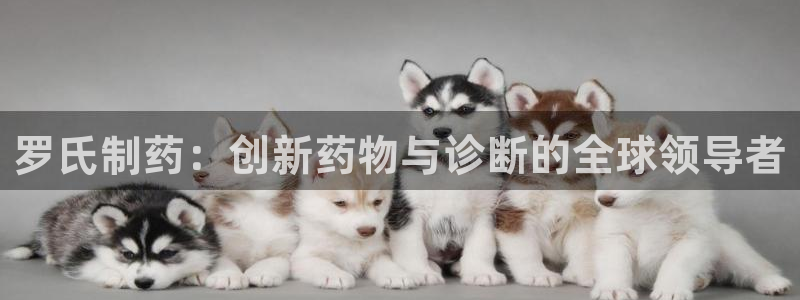 九游老哥俱乐部官网登录：罗氏制药：创新药物与诊断的全球领导者