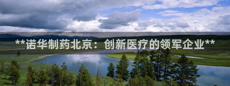 九游会老哥俱乐部论坛版：**诺华制药北京：创新医疗的领军企业**